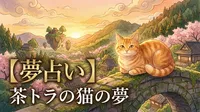 【夢占い】茶トラの猫の夢の意味は？金運上昇と対人運向上のサイン？